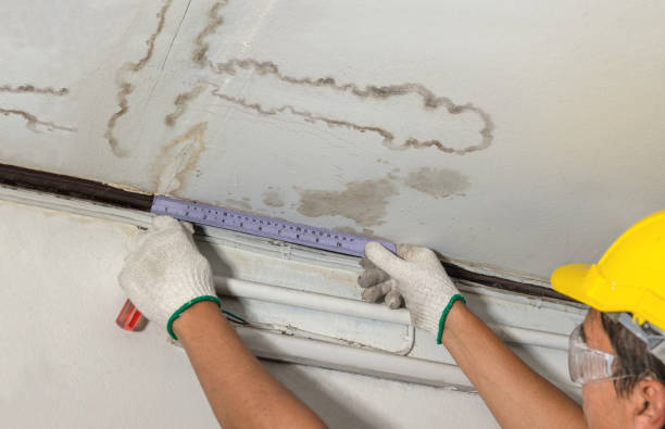 Reliable Burst Pipe Cleanup contractor in Monroeville, OH by Water Damage Irwin